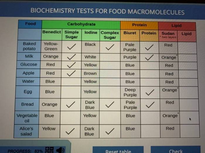 Macromolecules in my food answer key