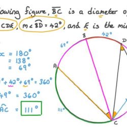 Segment 4units